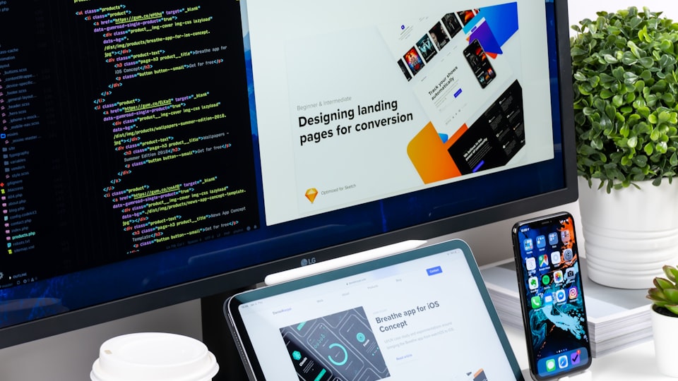 Professional web development and modern website design