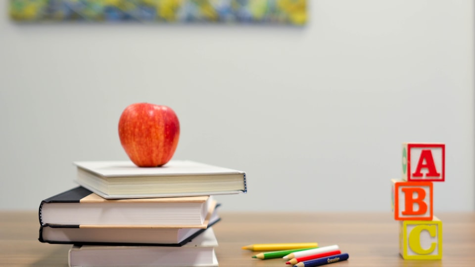 Saint Francis Schools case study